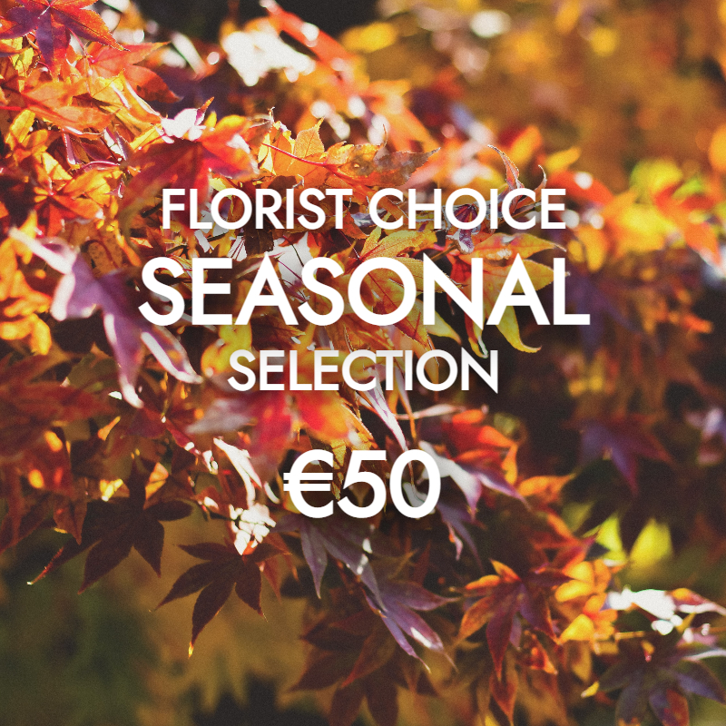Florist Choice Autumnal 50