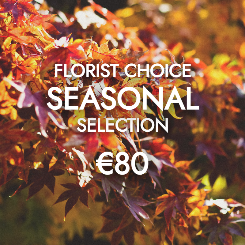 Florist Choice Autumnal 80
