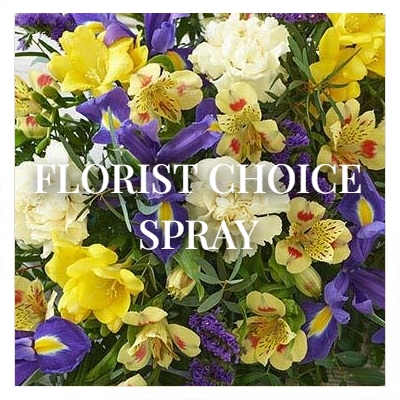 Florist Choice Spray