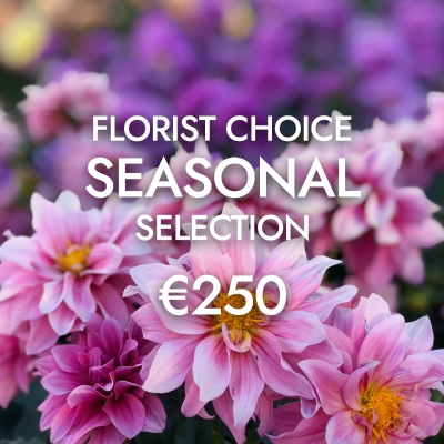 Florist Choice  €250