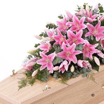 Lily Casket Spray  pink