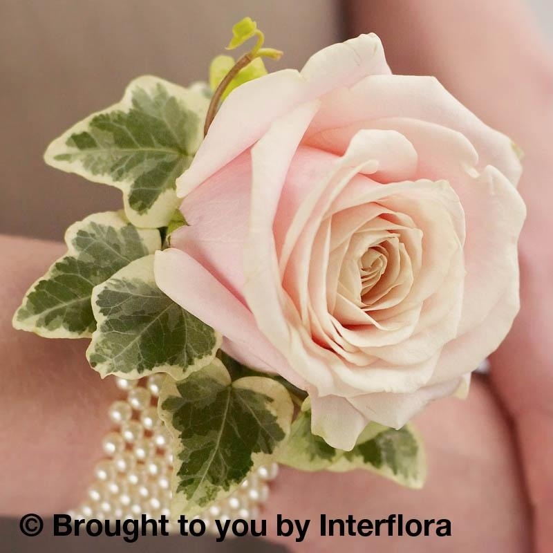 Order corsage online new arrivals