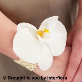 Pure White Orchid & Pearl Wrist Corsage