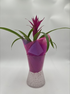 Bromelia Vase