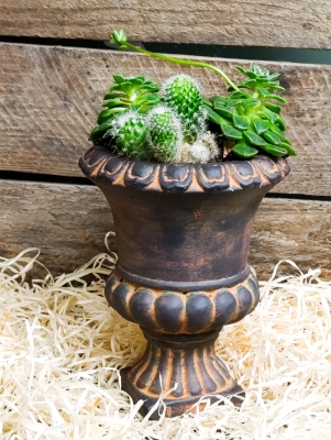 Cactus Planter.
