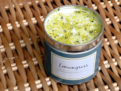 Melon Mango Blueberry Candle