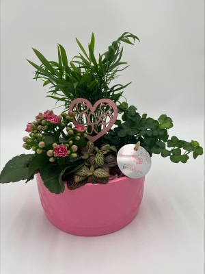Pink Planter