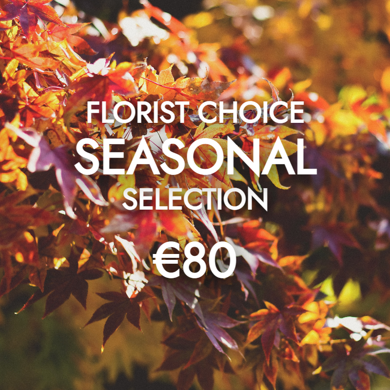 Florist Choice Autumnal 80