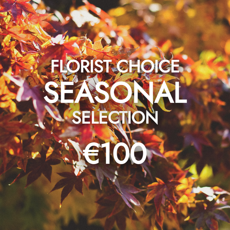 Florist Choice Autumnal 100