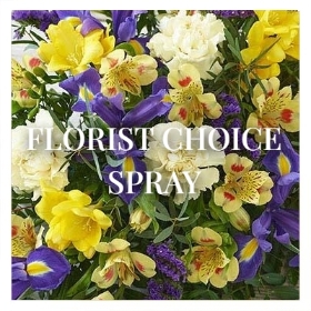 Florist Choice Spray