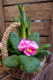 Basket Planter
