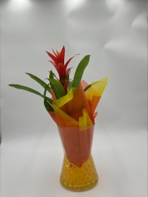 Bromelia Vase