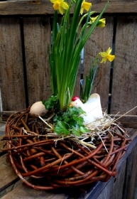 Chicken Planter