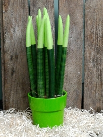 Planter