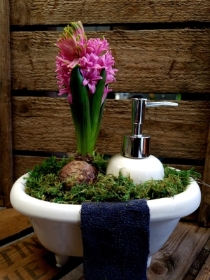 Soap dispenser planter
